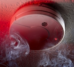 Digital Addressable Fire Detection and Alarm Systems 