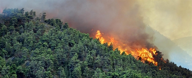 Orman Yangınlarına Nasıl Hızlı Müdahale Edilir? 