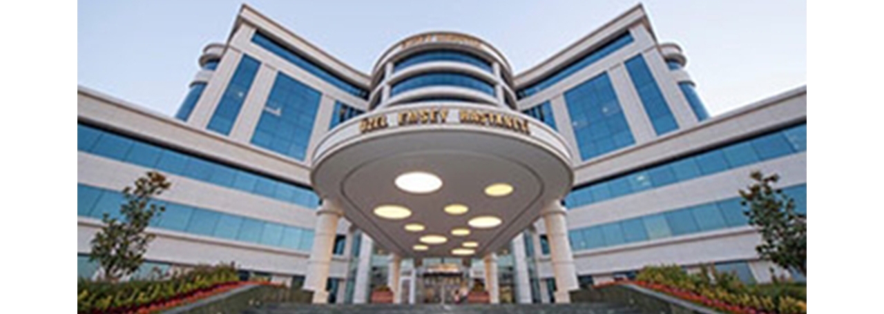Emsey Hospital, Istanbul