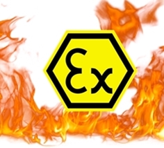 Control of Explosive Environments in the Industrial Facilities