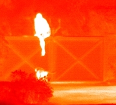 Thermal Cameras: Low Light – Wide Area Security 